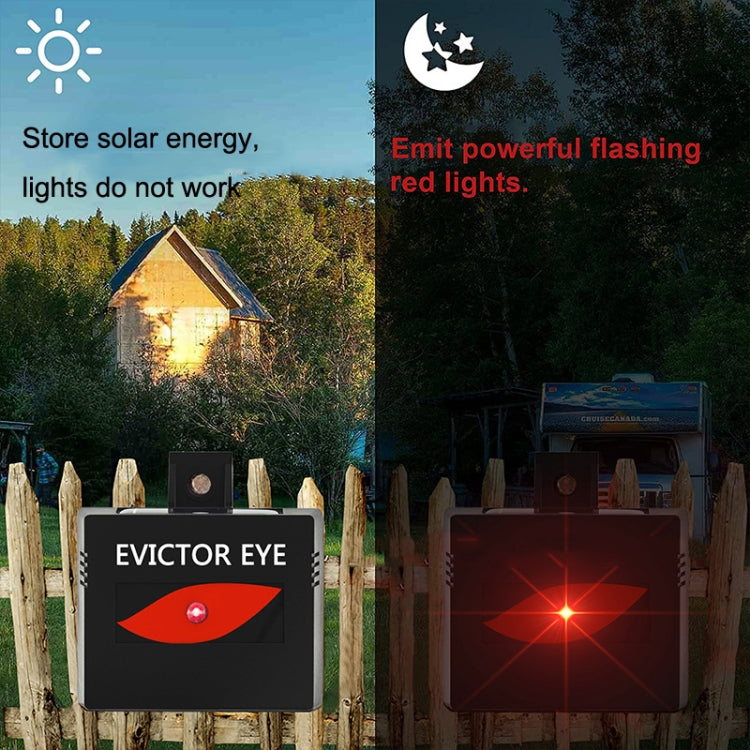 SK191 1pc Solar Farm Wild Eagle Eye Animal Repeller - Outdoor Insect Repellent by buy2fix | Online Shopping UK | buy2fix