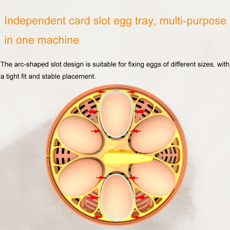 6-Eggs Small Household Experimental Children Smart Chicken Incubators, Spec: Automatic UK Plug - Incubators by buy2fix | Online Shopping UK | buy2fix