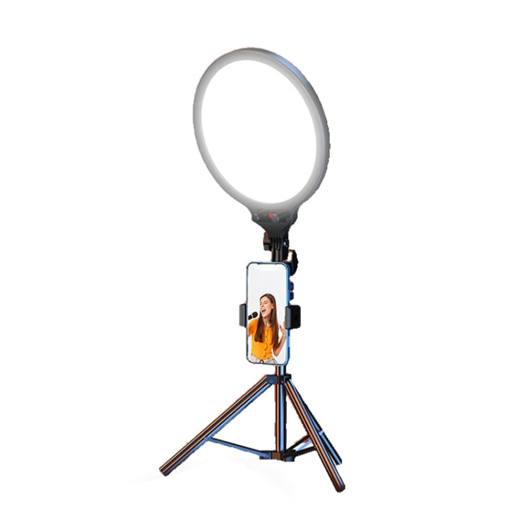 10.2 Inch Full-Screen Selfie Ring Light Tripod Set for Live Stream, Spec: 55cm Bracket - Selfie Light by buy2fix | Online Shopping UK | buy2fix