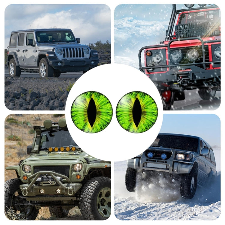 1pair Beast Eyes Headlight Decorative Stickers Off-Road Vehicle Front Lights Stereo Decals, Style: 8 - Lamp Decoration by buy2fix | Online Shopping UK | buy2fix