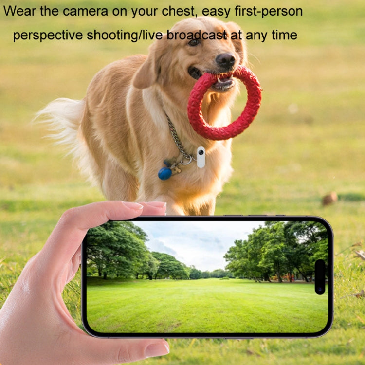 HD Outdoor Portable Pet Recorder Cycling Sports Camera, Specifications: With Silicone Collar+32G TF Card - Video Cameras by buy2fix | Online Shopping UK | buy2fix