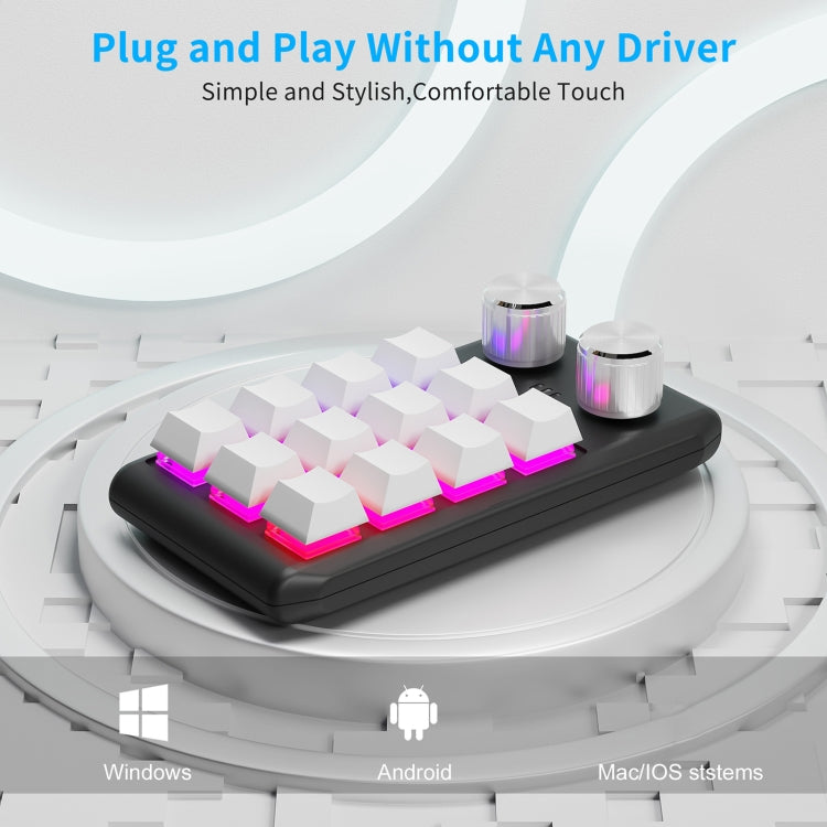 Bluetooth Wireless 12KV2 MOLD Mini Mechanical 12 Keys 2 Knob Custom Programming Keyboard(White) - Mini Keyboard by buy2fix | Online Shopping UK | buy2fix