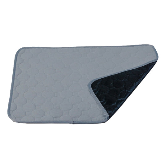 2 PCS 50x40cm Car Pet Injection Pad Waterproof Pad Cat Dog Sofa Waterproof Diapholic Carpet Water Absorbing Pad(Light Grey) - Seat Accessories by buy2fix | Online Shopping UK | buy2fix