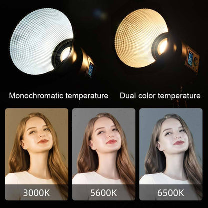 135W Portable Fill Light Handheld LED Photography Light, Style: 2 Color Tmperature Light - Camera Accessories by buy2fix | Online Shopping UK | buy2fix