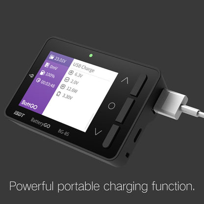 ISDT Aircraft Model Lithium Battery 1-8S Electric Display Measuring Appliance - Charger by ISDT | Online Shopping UK | buy2fix